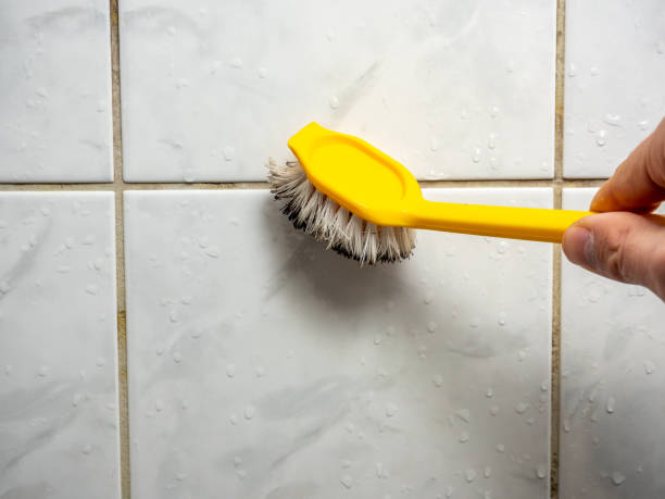 Best Mold Testing  in Wayne, IL