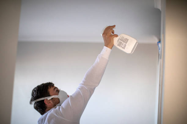 Mold Removal Process in Wayne, IL